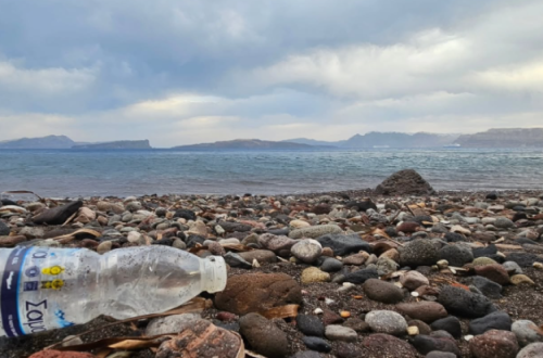 pumice and plastic on a beach